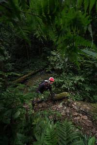 BIB: 
                            <button type="button" onclick="openModal(16029965)" class="btn btn-primary btn-sm float-right btn-popup" data-toggle="modal" data-target=".modal-high-quality">
                        <i class="fas fa-shopping-cart"></i> Add to Cart
                    </button>
                                            <button type="button" onclick="isThisMe(16029965, true)" class="btn btn-success btn-sm float-right btn-popup btn-isme hidden" data-toggle="tooltip" data-placement="bottom" title="นี่คือรูปของคุณใช่ไหม คลิกที่นี่เพื่อเอาเข้าอัลบั้ม">
                        <i class="fas fa-plus"></i> Add to album
                    </button>
                    <button type="button" onclick="isThisMe(16029965, false)" class="btn btn-warning btn-sm float-right btn-popup btn-isnotme hidden">
                        <i class="fas fa-ban"></i> Remove from album
                    </button>